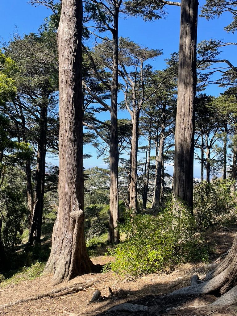 La Naturaleza